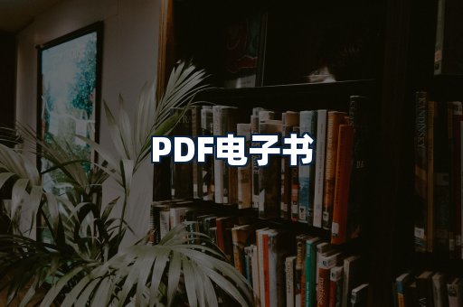 PDF电子书